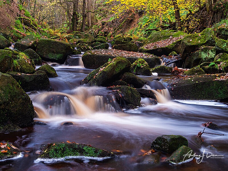 Padley Gorge - Peak District