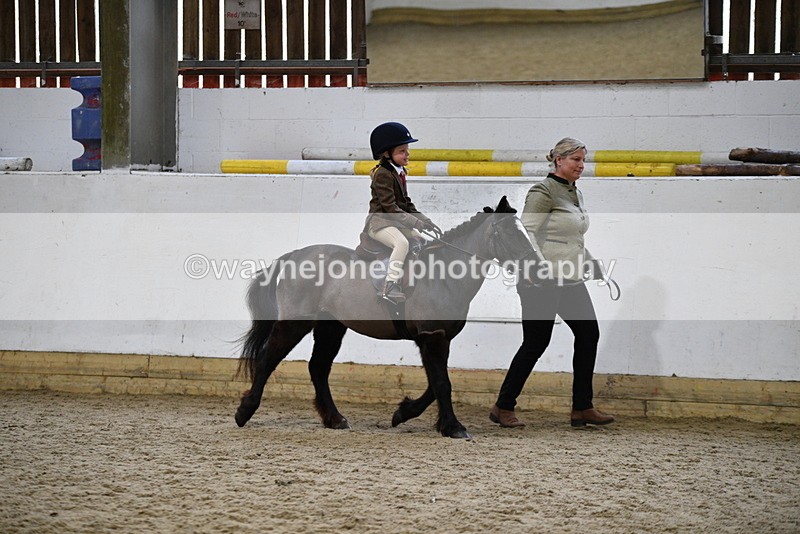 WJ5_6598 - Class 10 Childs Pony