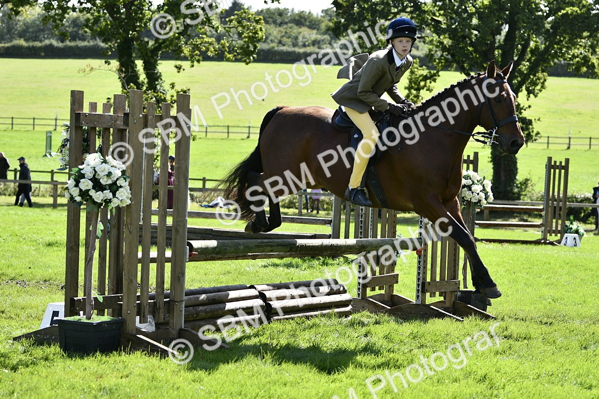 SBM_45705 - S33 - Working Hunter Pony