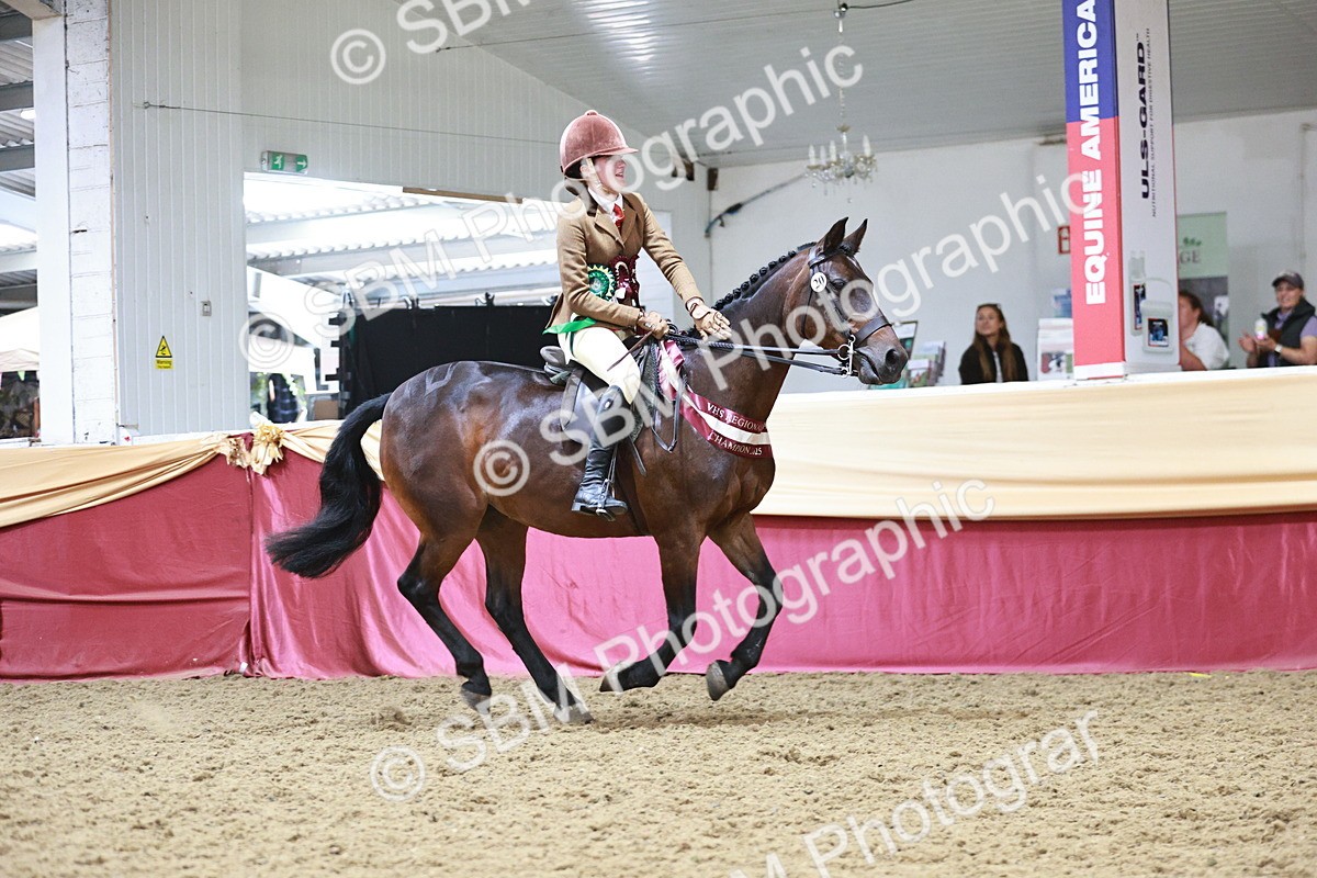 SBM_08717 - Regional Ridden Champ