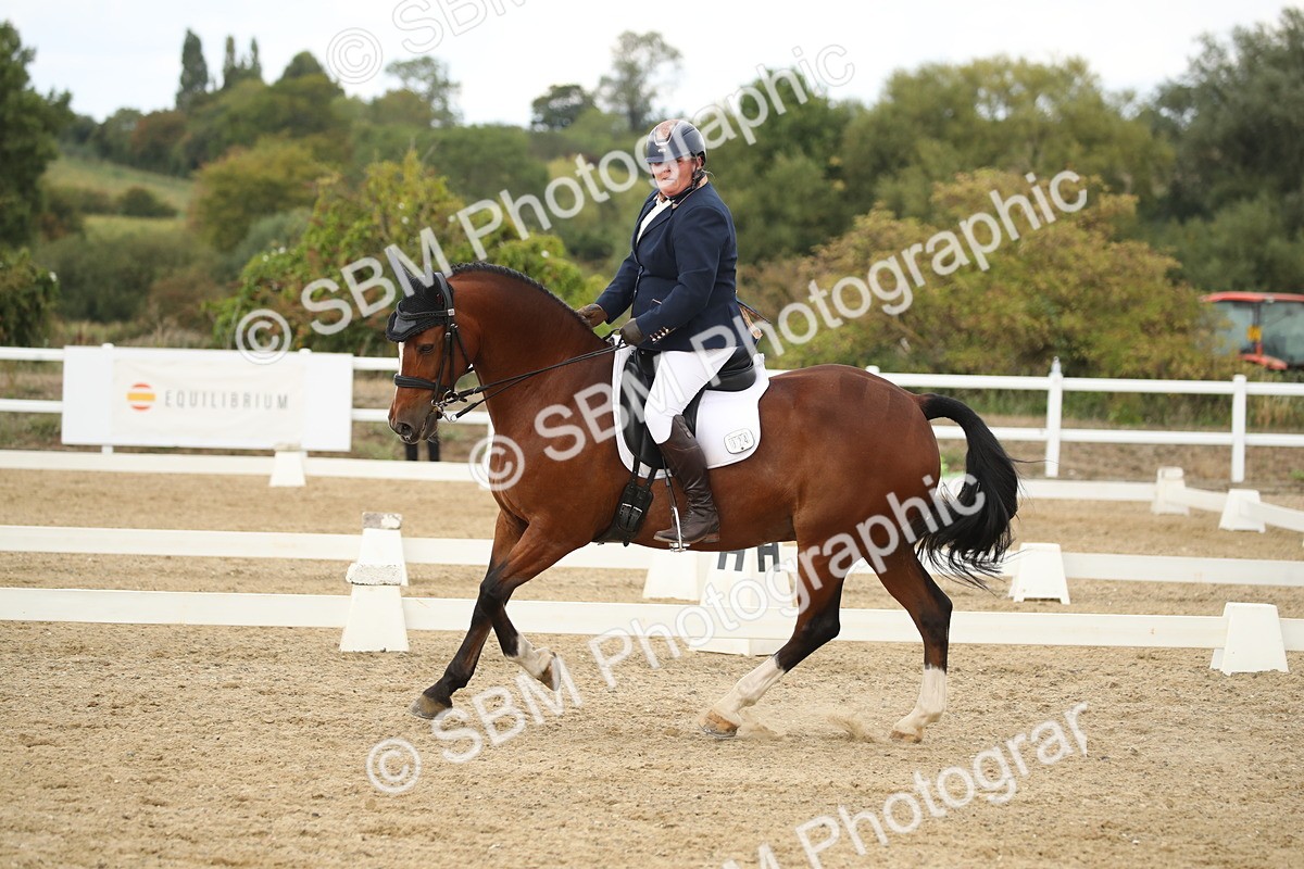 SBM_002985 - Class 6 - Elementary 5 - 14.50-15.46