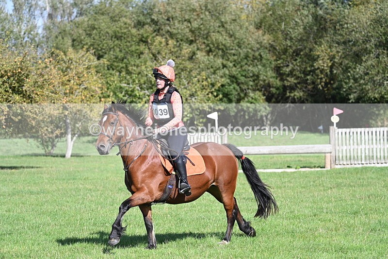 WJ7_1365 - Time 13:56 to 14:24