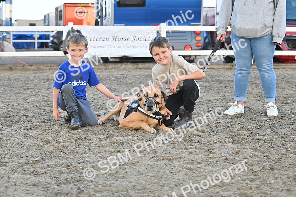 SBM_09579 - Lorry Dogs