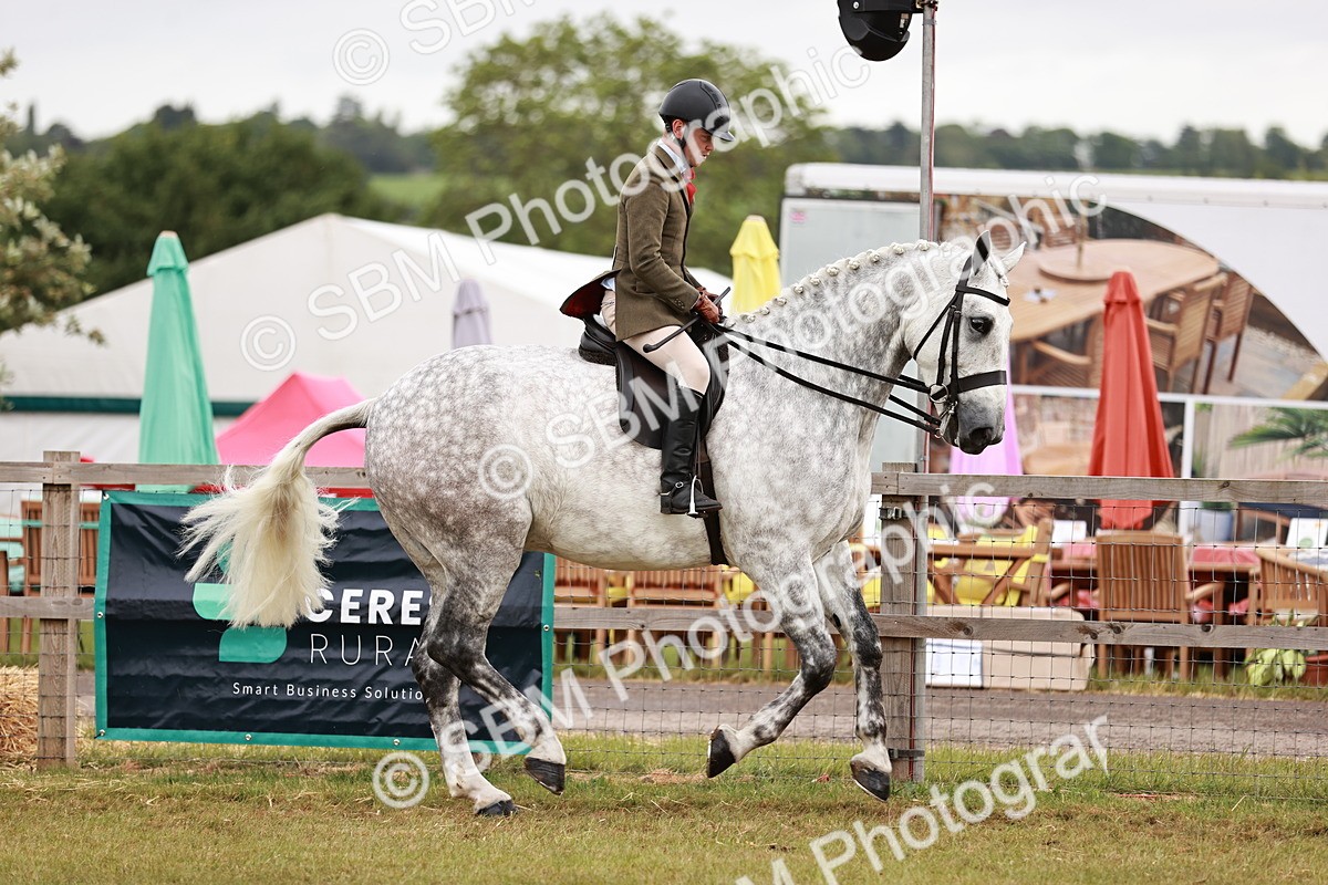 SBM_10914 - Class 81-84 - RIHS Ridden hunters Inc Ladies Hunter