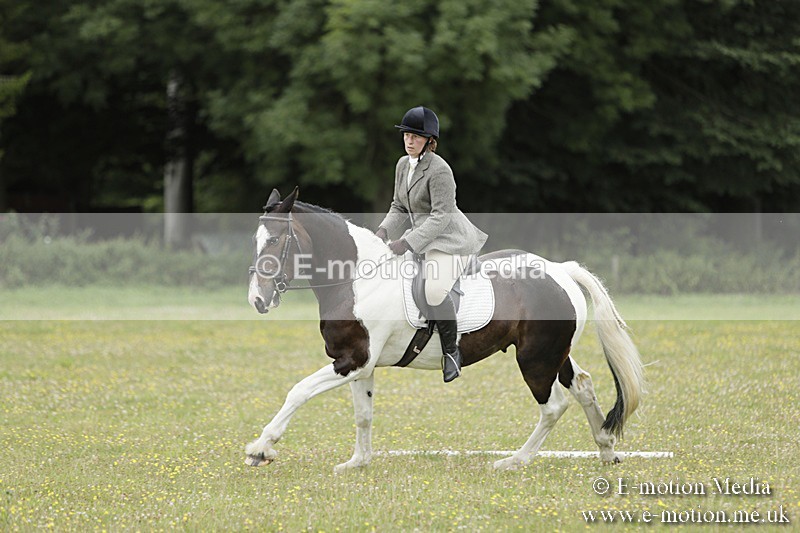 BVR160717-1173 - Class 2 Dressage 16/07/17