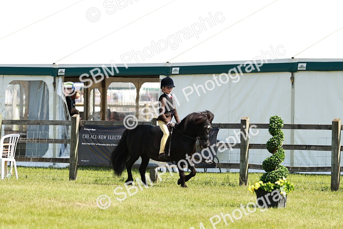 SBM_12853 - Class 106-107 - BSPS LIHS Working Sports Pony