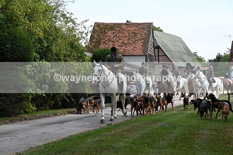 WJ6_3912 - Berks & Bucks - The Old farmhouse - Hound Exercise 20-08-25