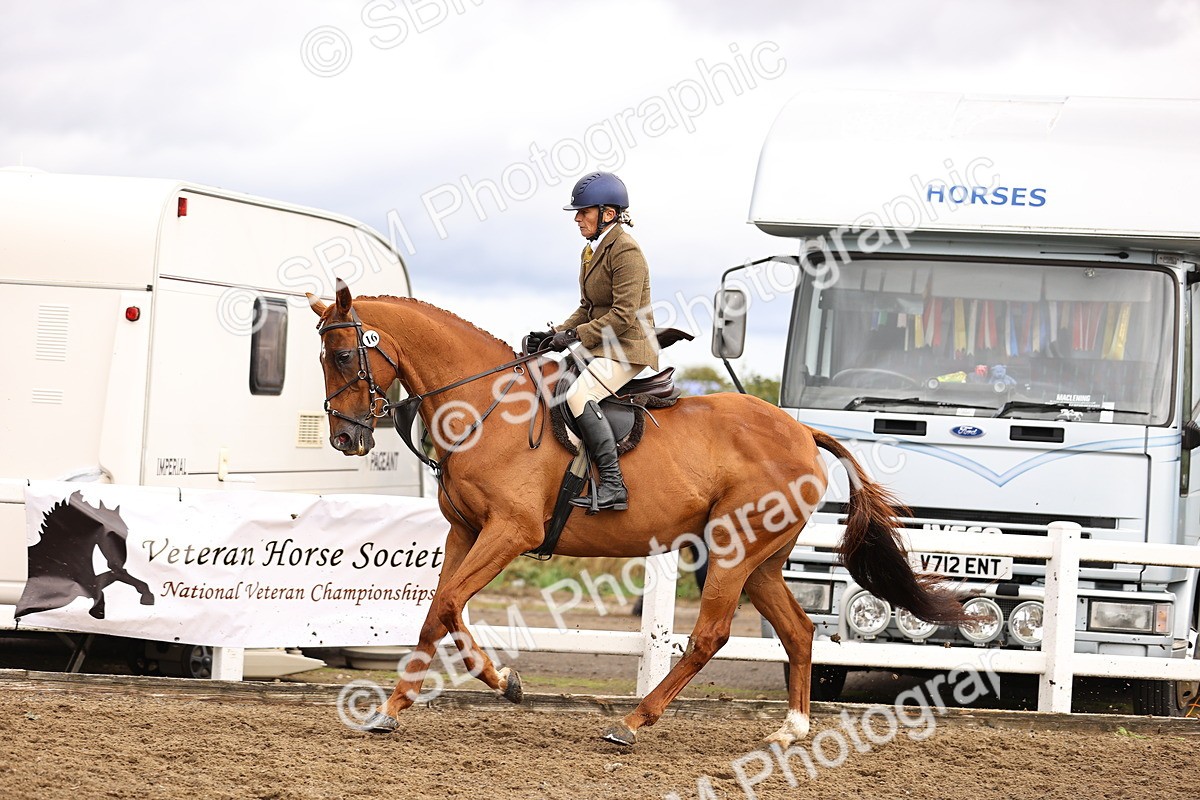 SBM_00608 - Class 53 - Ridden Competition Horse Pony