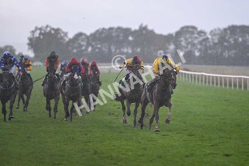 150925-Race 6-Day Of Grace-3123 - Race 6
