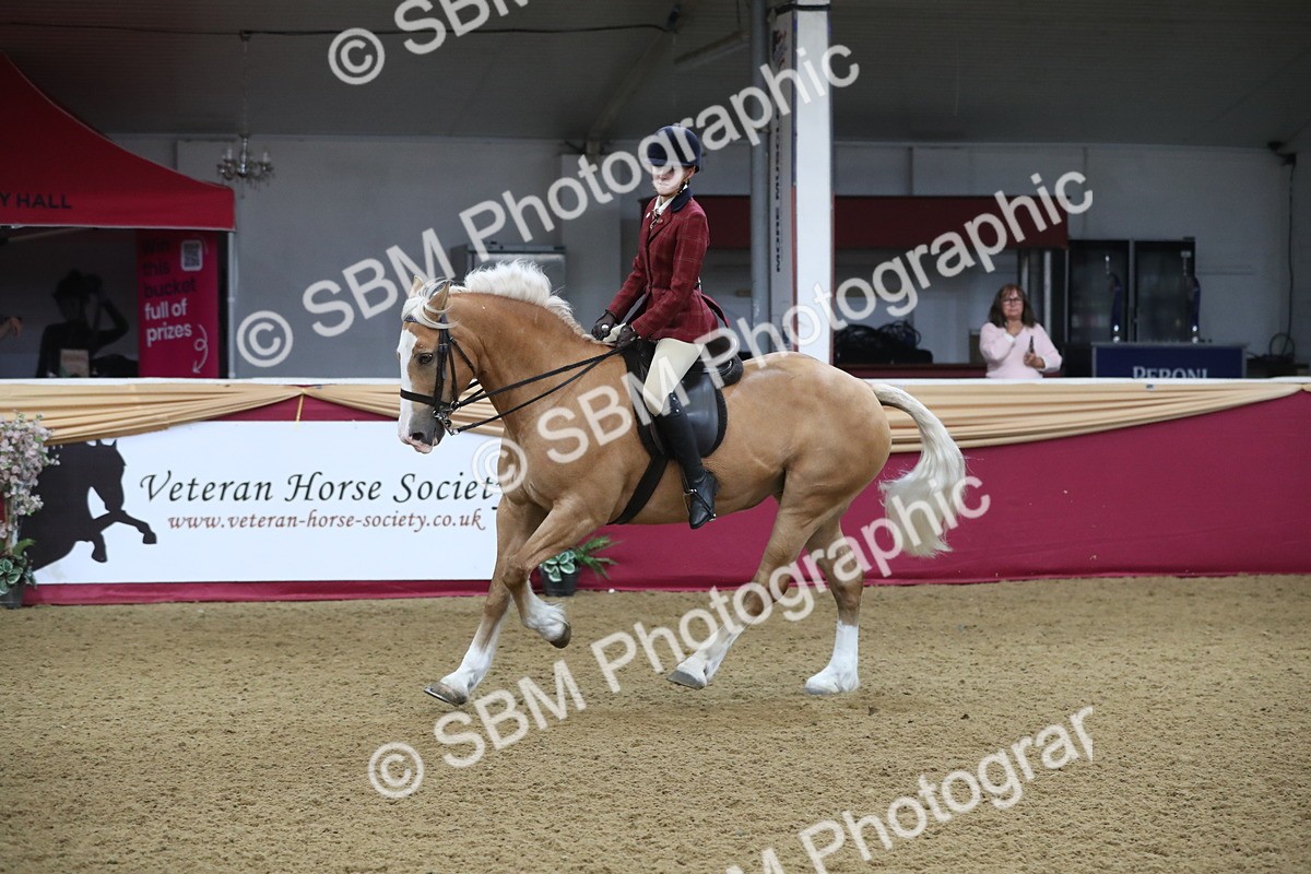 SBM_10429 - Class 102 Equitation (best rider) Adult