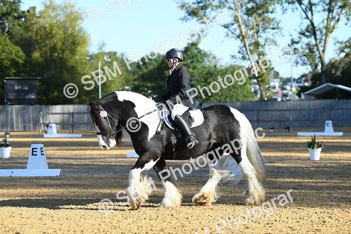 SBM_14471 - D4 - Small Tour Championship - Intro B