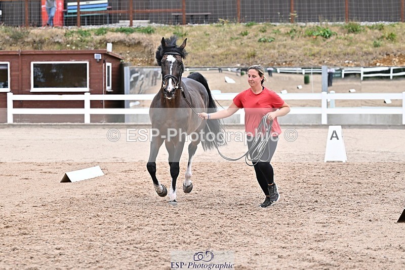 250716-134119-00631 - Trot Up 1.30 to 2.30