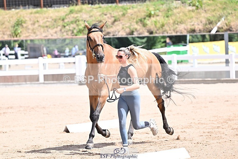 250716-124601-00153 - Trot Up 12.30 to 1.30