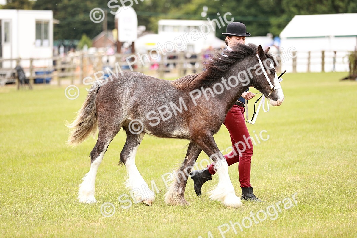 SBM_04546 - Class 5-8 - BSPA In hand