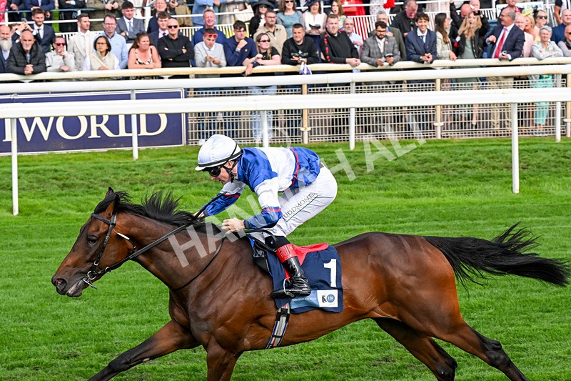 210826-Race 6-Benjamin Hornigold-0394 - Race 6 16.45pm British Stallion Studs EBF Convivial Maiden Stakes