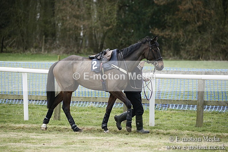 PtP 110318 2 - Hampshire Hunt Point-to-Point Hackwood Park 11/03/18