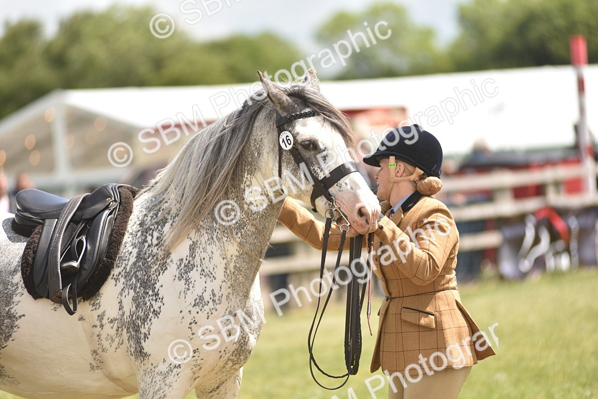 SBM_15859 - Class 115-116 - SSADL Home Produced Members Qualifier