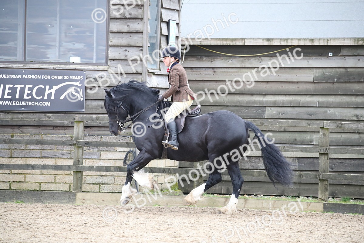 SBM_007086 - Class 10-13 - RIHS Small Large Breeds