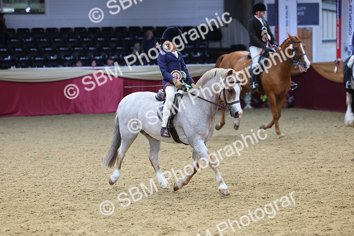SBM_24225 - Class 905 - Supreme Final - Ridden Veteran