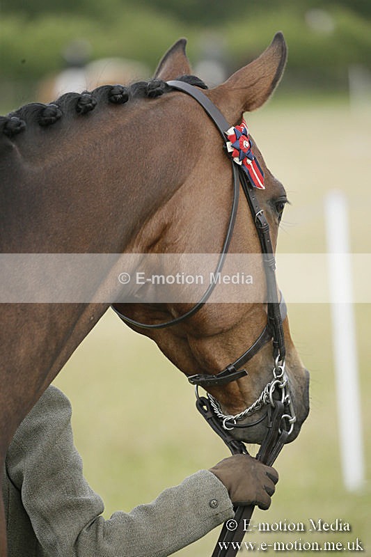 B230619-0193 - Bourne Valley Riding Club Summer Show 23/06/19