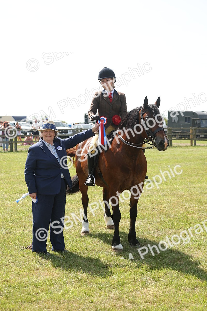 SBM_07730 - Class 26-30 - Mountain and Moorland Ridden