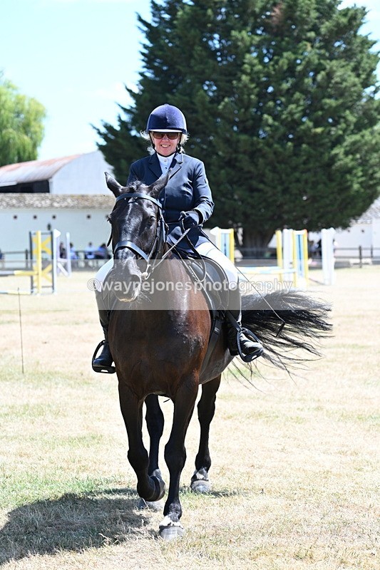 WJ7_2823 - Class 7 Riding Club Show Horse