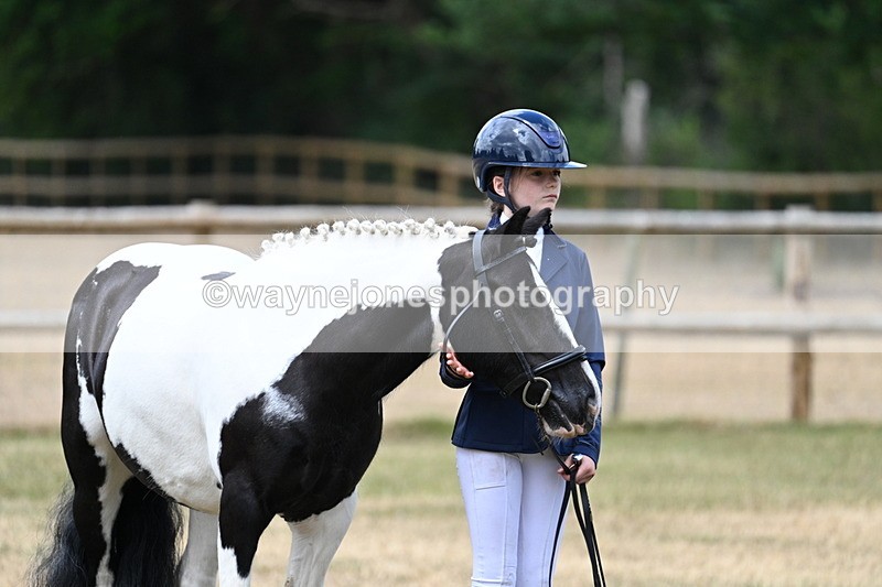 WJ7_1517 - Class 4 Prettiest Mare up to 14.2hh in hand