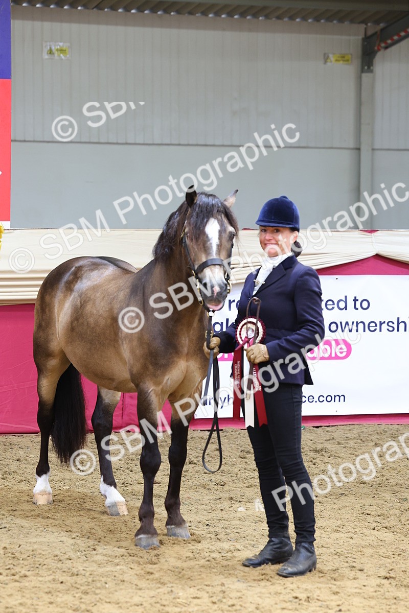 SBM_22934 - Class 903 - Supreme Final - IH Pre Vet