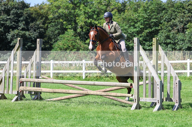 3E7A8542 - Class 5: Working Show Horse