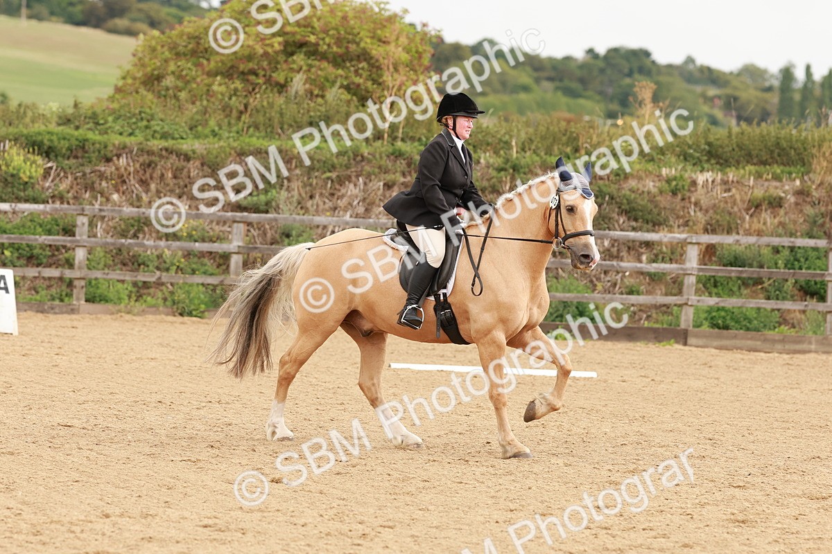 SBM_001489 - Prelim 2