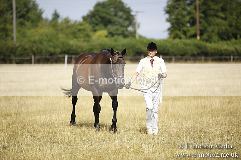 _C7A9320 - BVRC Sow 2018 Ring 2