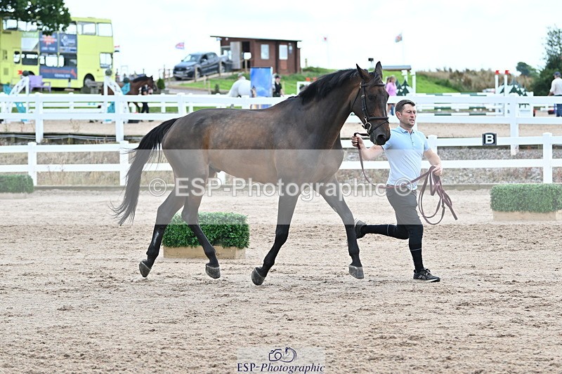 240717A-143246-02123 - Trot Up 2pm to 3pm - This folder is not in time order