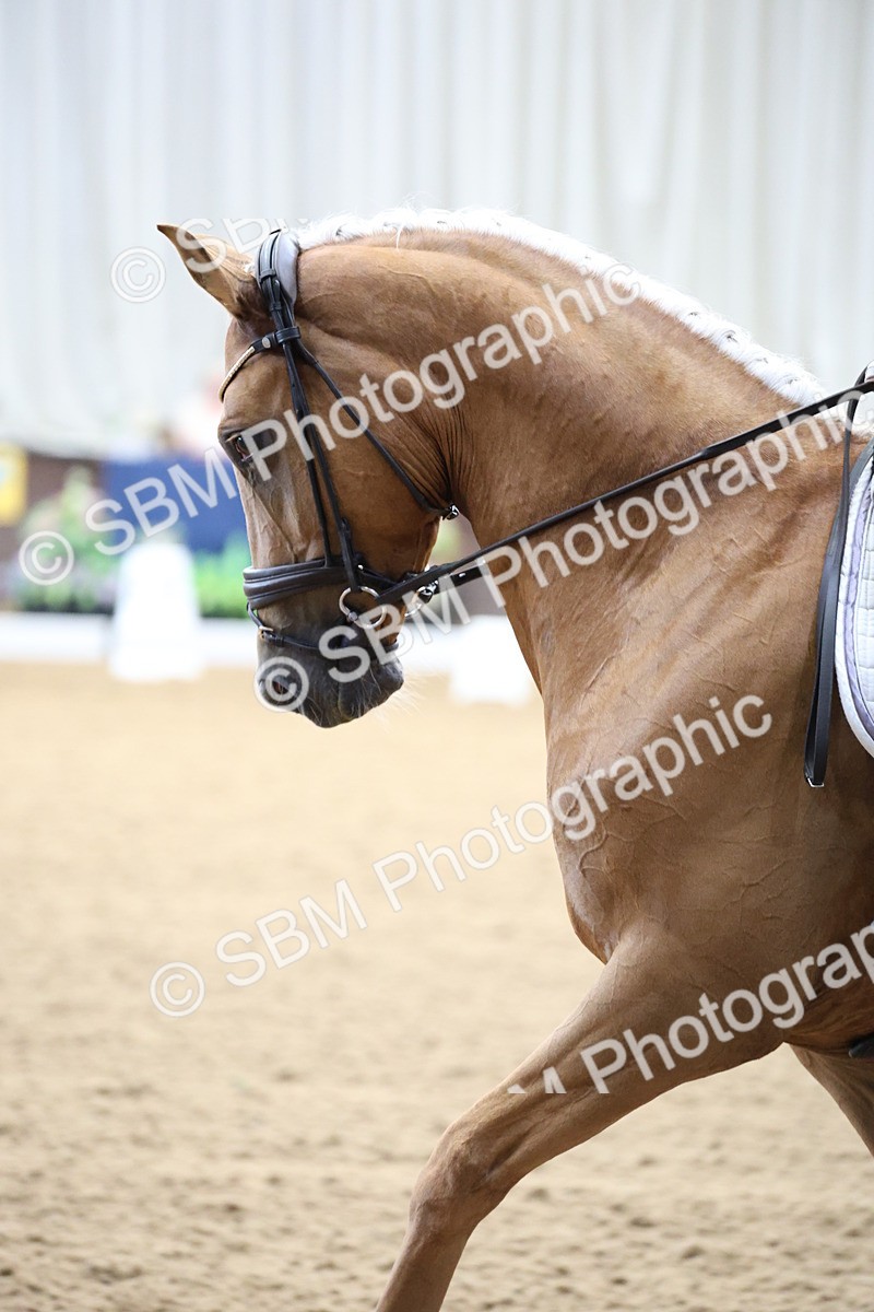 SBM_002078 - Class 5 - Novice 6 Gold - 9.00-10.10