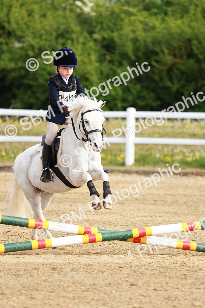 SBM_006447 - Class 1 - 40cm