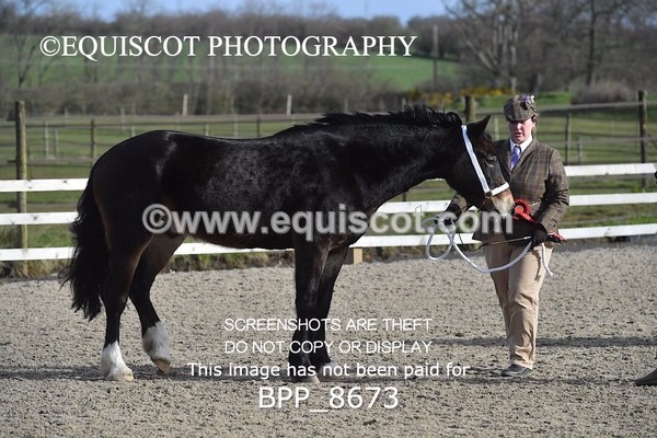 BPP_8673 - RING 2 - M&M