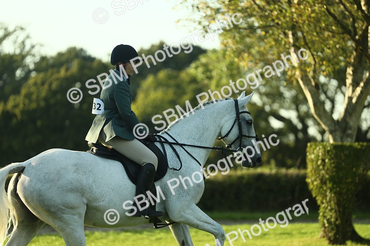 SBM_55518 - S14 - Riding Club Horse