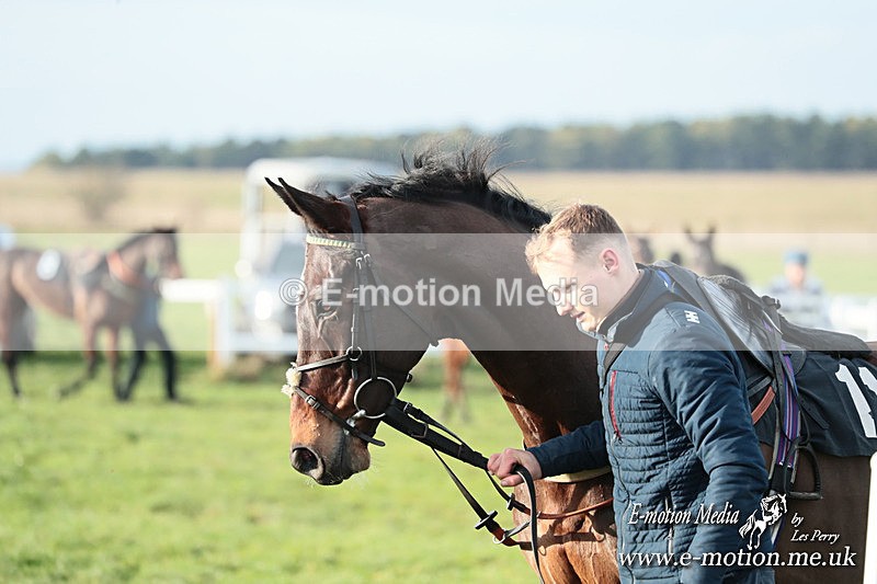 PtP 141225  1226 - New Forest Hounds PtP Larkhill 14/12/25
