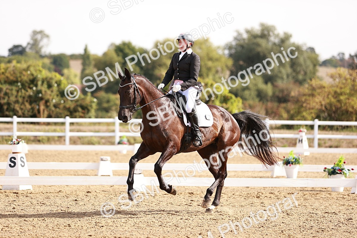 SBM_016995 - Class 10 - Medium 6