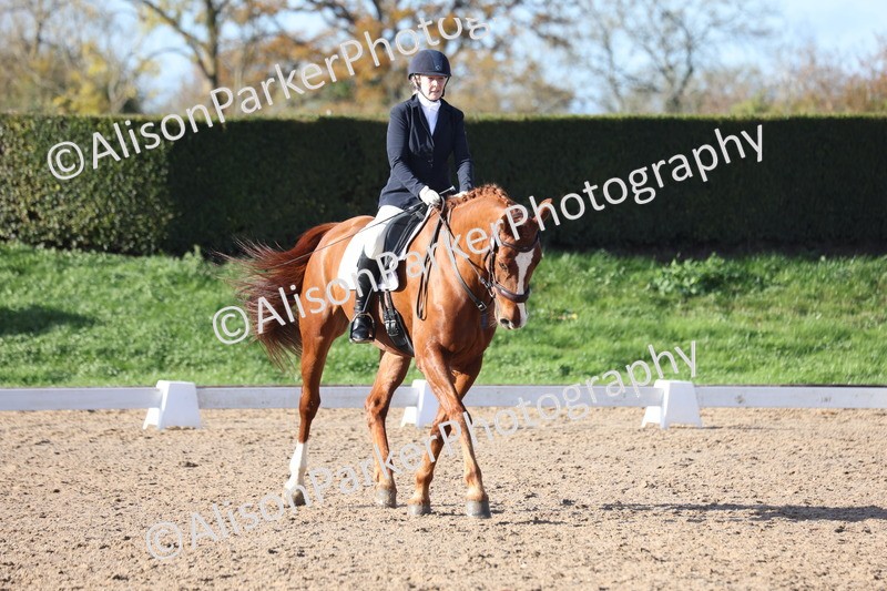 20251102-0695 - Class 4 - Novice 6