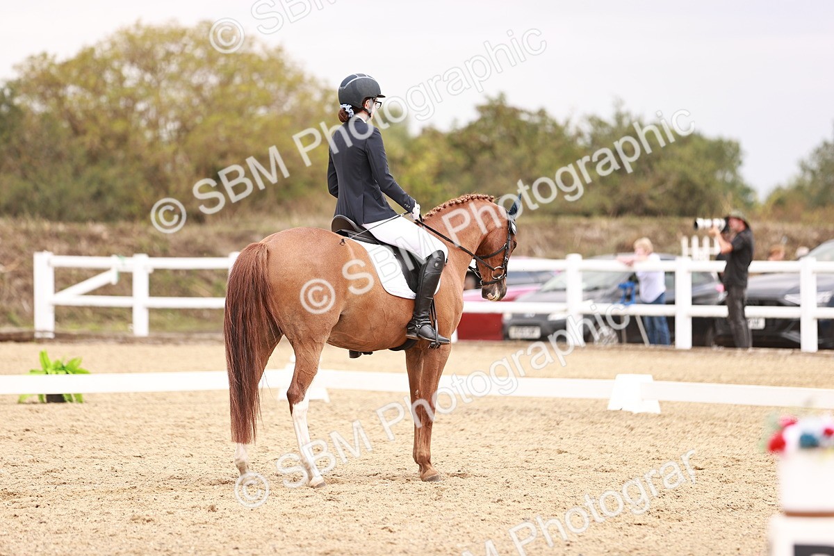 SBM_019308