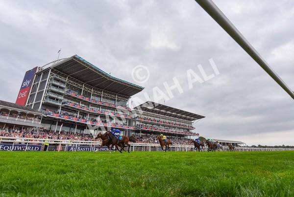 230825-Race 6-Revival Power-9961 - Race 6 4.45pm Julia Graves Roses Stakes
