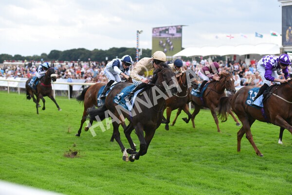 yr04092022r7-29 - Race 7 5.15pm Firmament Stakes
