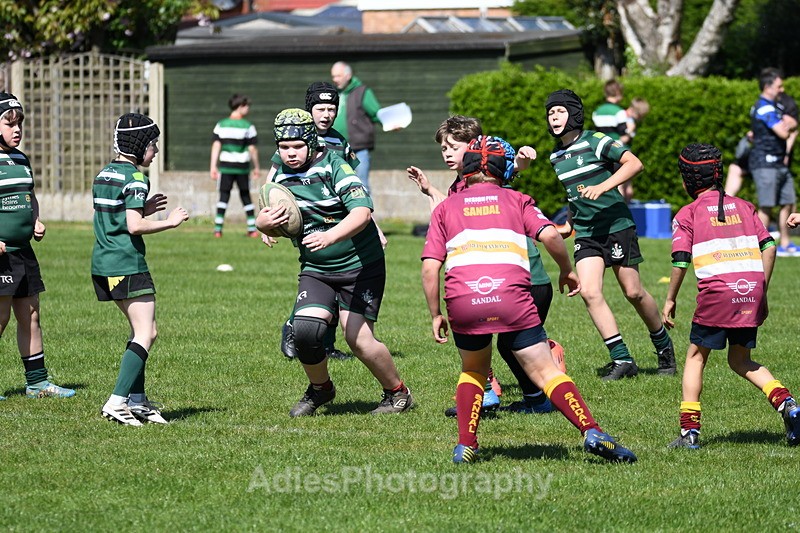 - Selby Rugby Festival 2025