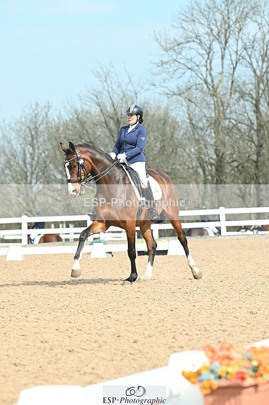 250403-095641-01095 - 037-Fay.Lai-Greenlanes.Lullaby