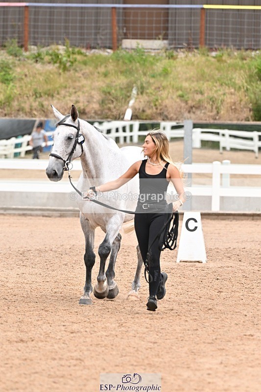 250716-144553-01371 - Trot Up 2.30 to 3.30