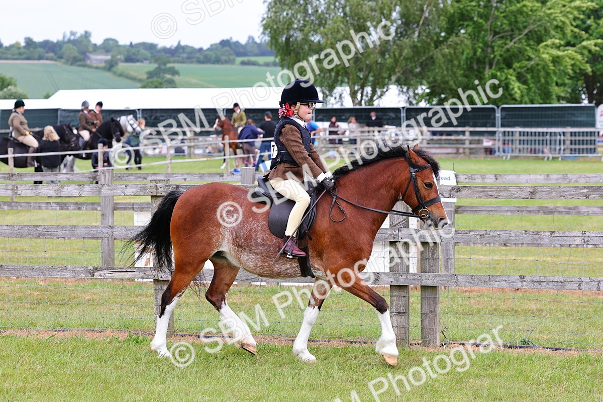 SBM_08544 - Class 42-43 - LIHS BSPS Heritage Working Sports Pony