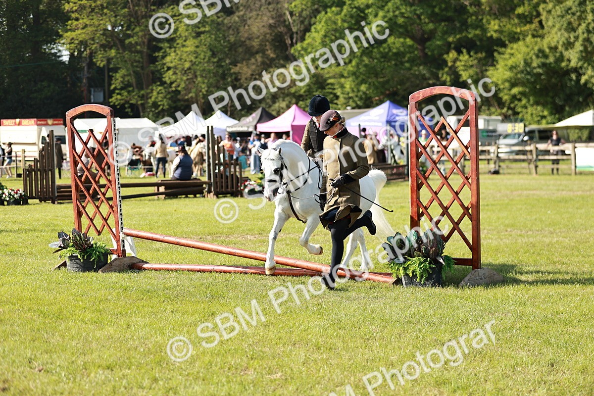 SBM_11261 - Class 106-107 - BSPS LIHS Working Sports Pony