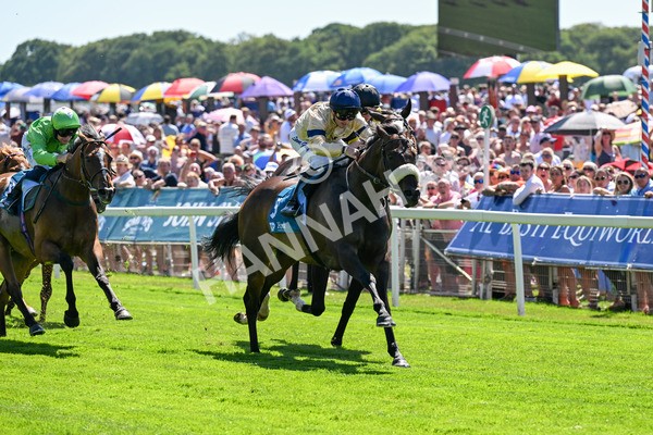120725-Race 2-Washington Heights-0144 - Race 2 2.35pm John Smith's City Walls Stakes