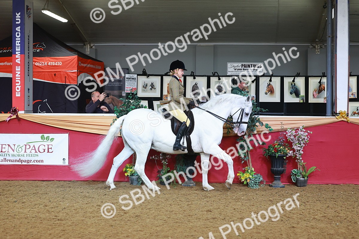 SBM_07615 - Class 101 - HOYS Veteran Qualifier - Ridden Diamond