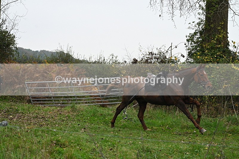 WJ7_8006 - Cam 1